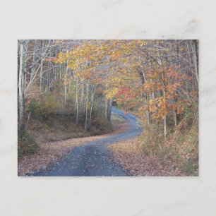 Carte Postale Routes de campagne