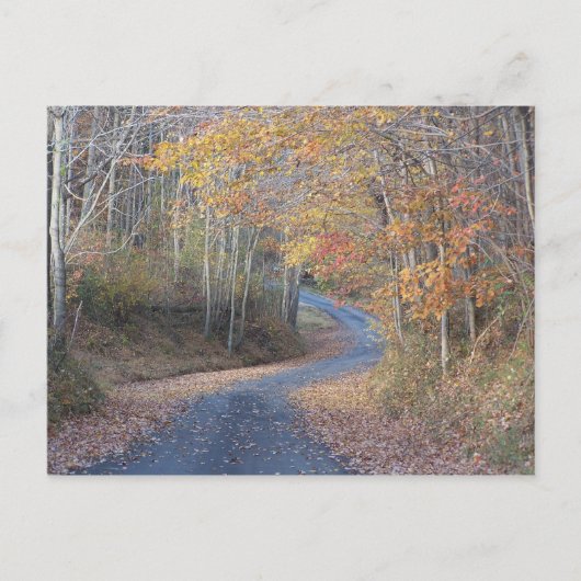 Carte Postale Routes de campagne (Devant)