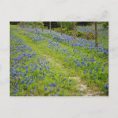 Carte Postale Routes de terre (Devant)