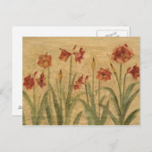 Carte Postale Row of Red Amaryllis (Devant / Derrière)