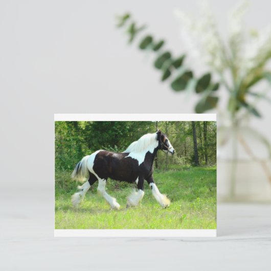 Carte Postale Roxie (Debout devant)