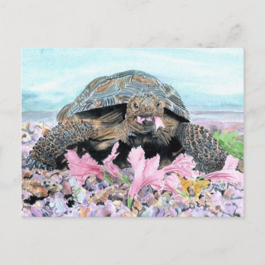 Carte postale Roxy the Turtle (Devant)