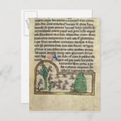 Carte Postale Roy Page de texte avec illustration (Devant / Derrière)