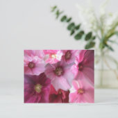 Carte Postale Royal (Debout devant)