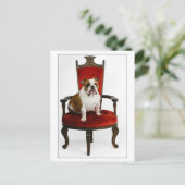Carte Postale Royal English Bulldog (Debout devant)
