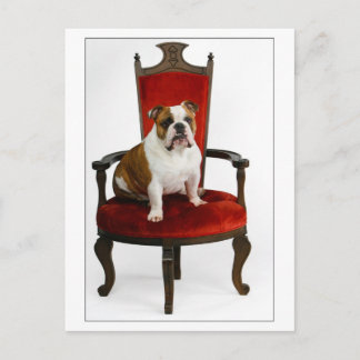 Carte Postale Royal English Bulldog