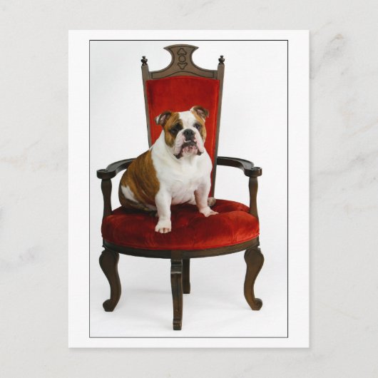 Carte Postale Royal English Bulldog (Devant)