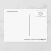 Carte Postale Royal Gala Apple (Dos)