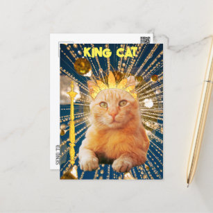 Carte Postale Royal King Chat Funny Pour Amoureux de les chats G