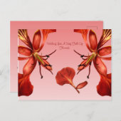 Carte postale Royal Poinciana (Devant / Derrière)
