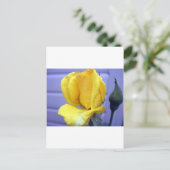 Carte Postale Rsoebud jaune (Debout devant)