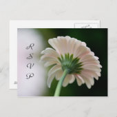 Carte postale RSVP (Devant / Derrière)