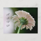 Carte postale RSVP (Devant)