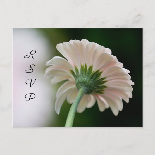 Carte postale RSVP (Devant)