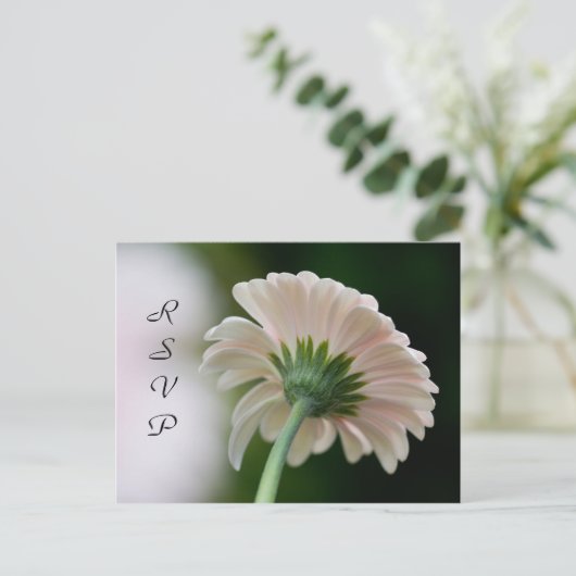 Carte postale RSVP (Debout devant)