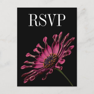 Carte postale RSVP Hot rose Fuchsia Daisy Wedding