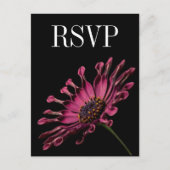 Carte postale RSVP Hot rose Fuchsia Daisy Wedding (Devant)