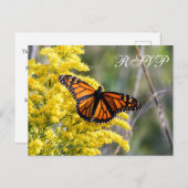 Carte postale RSVP Monarch Butterfly Wedterfly (Devant / Derrière)
