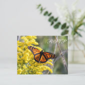 Carte postale RSVP Monarch Butterfly Wedterfly (Debout devant)