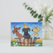 Carte Postale Rub a dub dub 3 Labs in a Tub Postcard (Debout devant)