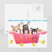 Carte Postale Rub a Dub Dub Trois Chis dans un bain à remous (Devant / Derrière)