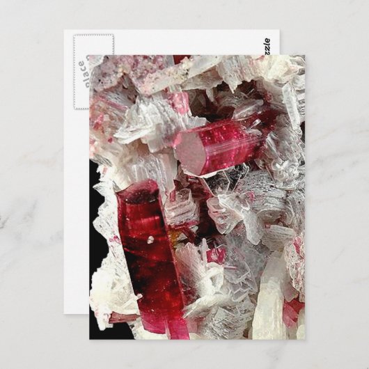 Carte Postale Rubellite (Devant / Derrière)