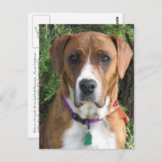 Carte Postale Ruby (Devant / Derrière)