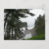 Carte postale Ruby Beach (Devant)