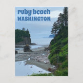 Carte Postale Ruby Beach Washington Tourisme olympique Twilight (Devant)