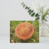 Carte postale Ruby Bolete Mushroom (Debout devant)