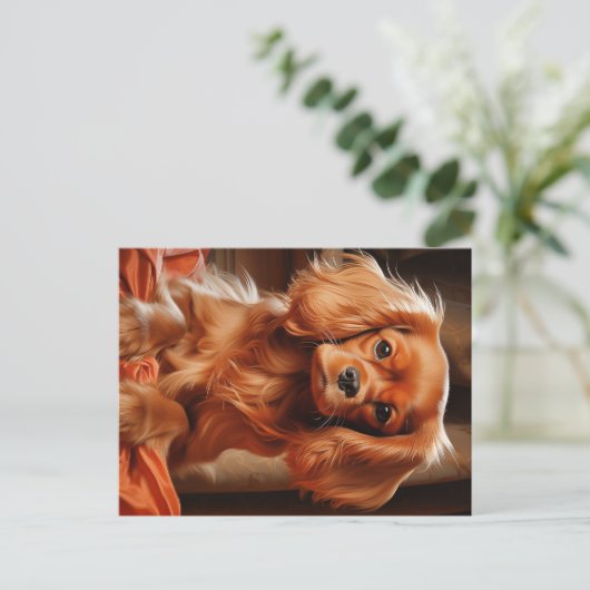 Carte Postale Ruby Cavalier King Charles Spaniel (Debout devant)