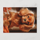 Carte Postale Ruby Cavalier King Charles Spaniel (Devant)