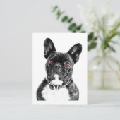 Carte Postale Ruby Eyed French Buldog Portrait (Debout devant)
