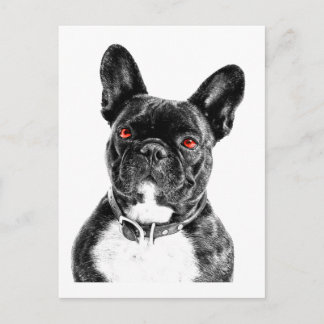 Carte Postale Ruby Eyed French Buldog Portrait
