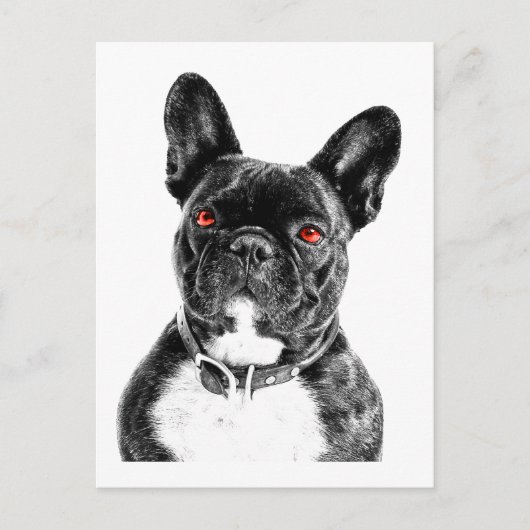 Carte Postale Ruby Eyed French Buldog Portrait (Devant)