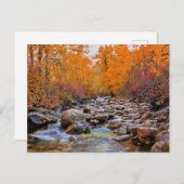 Carte Postale Ruby Mountains, Nevada (Devant / Derrière)