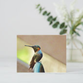 Carte Postale Ruby perché et petit colibri vert (Debout devant)