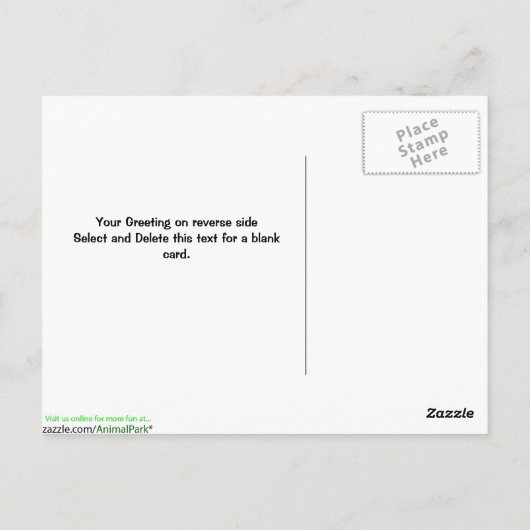 Carte Postale Ruby Throated Humming Bird (Dos)