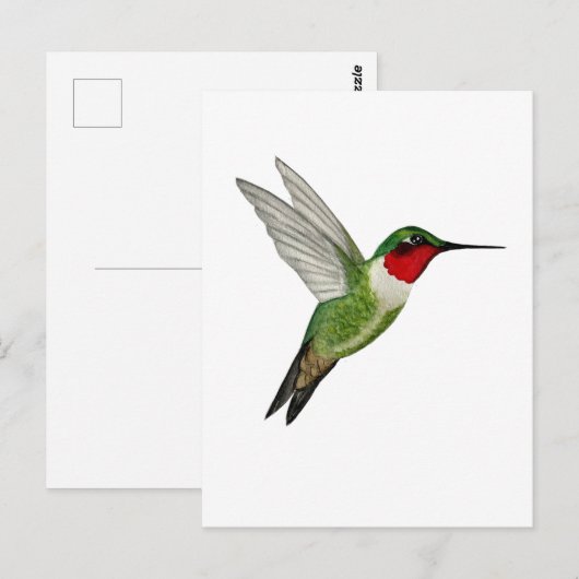 Carte Postale Ruby-throated Hummingbird (Devant / Derrière)