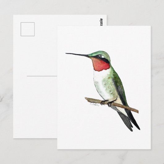 Carte Postale Ruby-throated Hummingbird (Devant / Derrière)