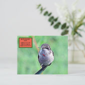 Carte Postale Ruby Throated Hummingbird 00Carte postale (Debout devant)
