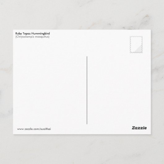 Carte Postale Ruby Topaz Hummingbird (moustique Chrysolampis) (Dos)