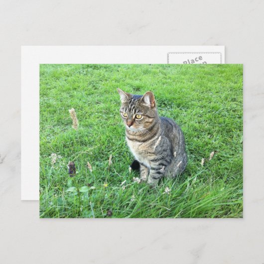 Carte postale rubycocotuTuesday (Devant / Derrière)