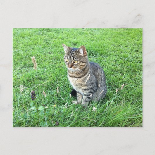 Carte postale rubycocotuTuesday (Devant)