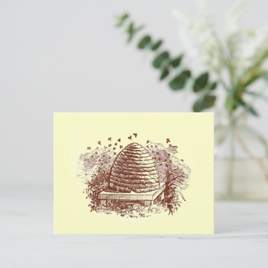 Carte Postale ruche (Debout devant)