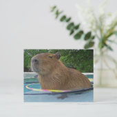 Carte Postale Ruche Caplin avec Hoola Hoops (Debout devant)