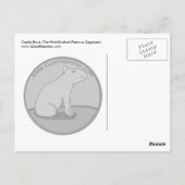 Carte Postale Ruche Caplin avec Hoola Hoops (Dos)