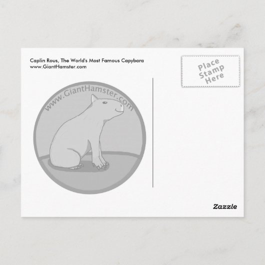 Carte Postale Ruche Caplin avec Hoola Hoops (Dos)