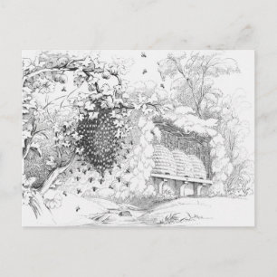 Carte Postale ruches d'abeilles vintages