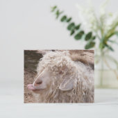 Carte Postale Rude de Goat (Debout devant)